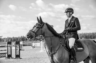 Inlägg 19 av American Curly med titeln Harry 😍