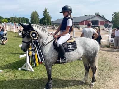 Post 189 of Show jumping with title När vi satte vad våran första nolla i LB+ och kom även trea❣️
