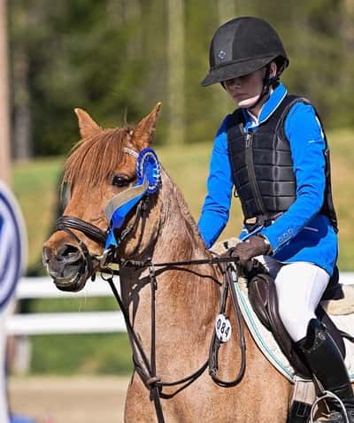 Post 166 of Show jumping