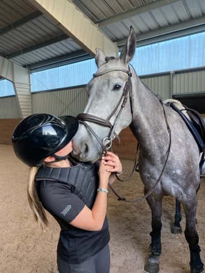 Inlägg 26 av Allround