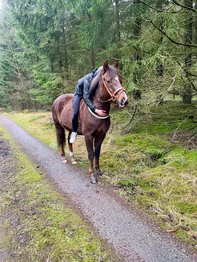 Inlägg 4 av Allround med titeln Bästisarna ❤️