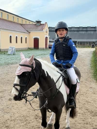 Inlägg 5 av Irländsk Sporthäst