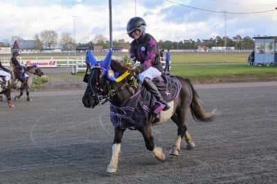 Inlägg 3 av Monté med titeln DPK’s ponnytravgala 