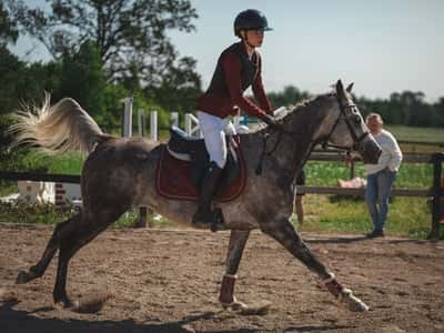 Inlägg 9 av Avel med titeln Hopptävling 