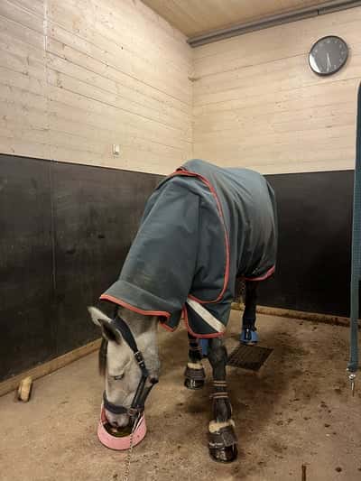 Inlägg 15 av SWB med titeln Påväg till träning 🌟