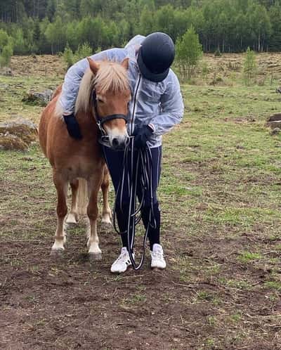 Inlägg 105 av Allround