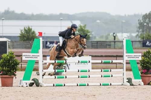 Bild av Underbar maxad c-ponny!