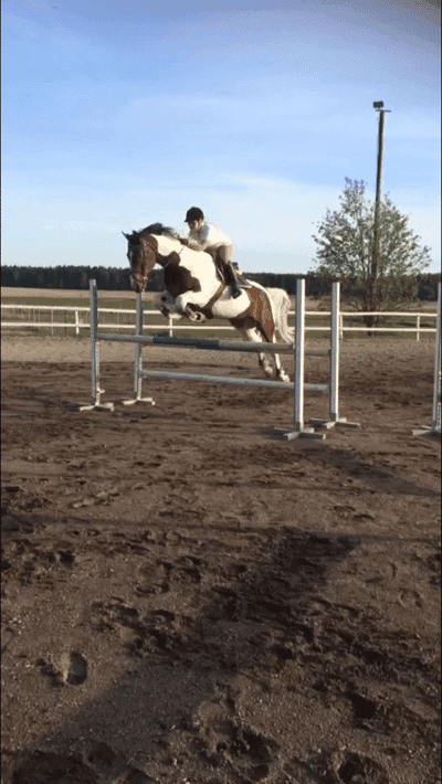 Inlägg 41 av Allround