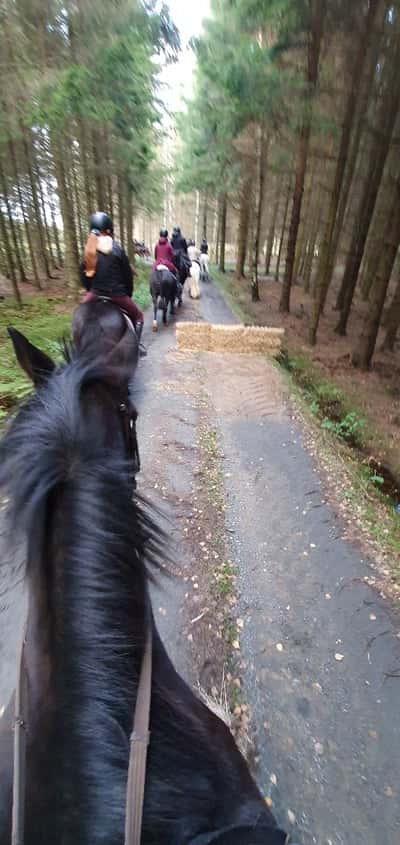 Inlägg 69 av Allround med titeln Hubertusjakt okt -23