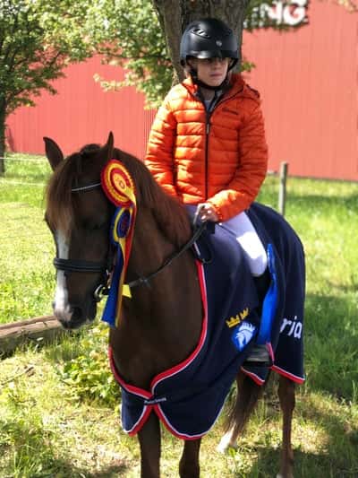 Inlägg 26 av Galopp med titeln Allsvenskan 