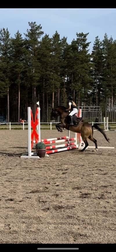 Inlägg 123 av Allround