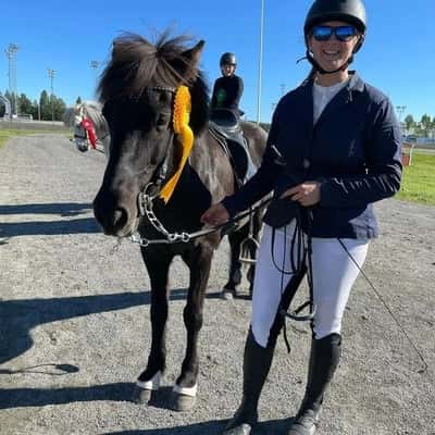 Inlägg 44 av Island med titeln Harkas första 4gångstävling