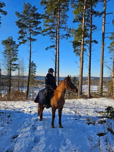 Inlägg 63 av Allround med titeln ❤️