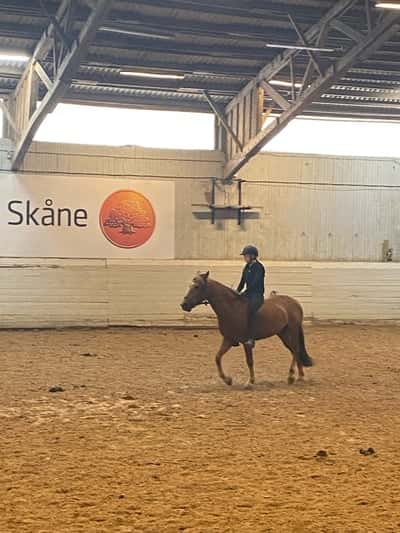 Inlägg 33 av Allround med titeln Barbacka hoppning på Rut