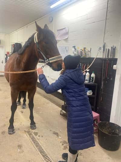 Inlägg 103 av Allround