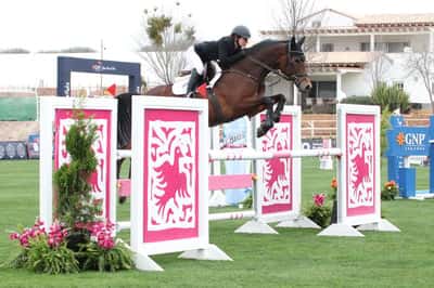 Inlägg 86 av Allround