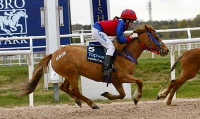 Inlägg 7 av Ponnygalopp med titeln Ponnygalopp 