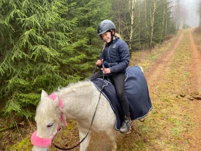 Inlägg 85 av Allround med titeln Idag när jag red ut 