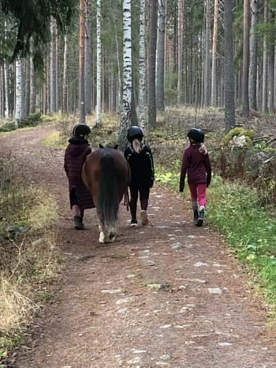 Inlägg 131 av Allround med titeln Kompisar