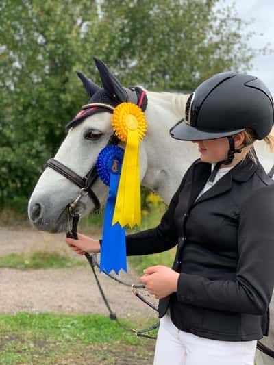 Post 302 of Show jumping with title Tävling i Hamre