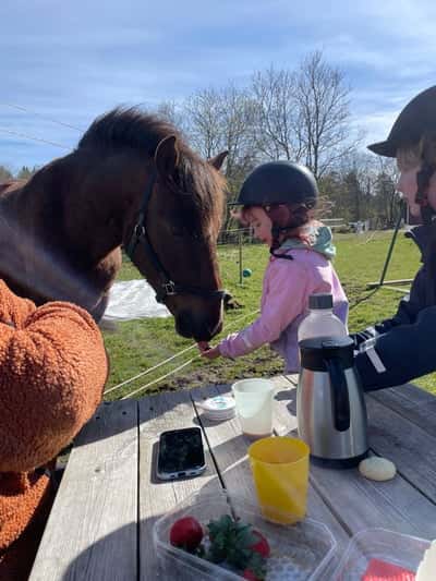 Inlägg 74 av Allround med titeln Björnbär var ingen sensationell smakupplevelse visade det sig 😜