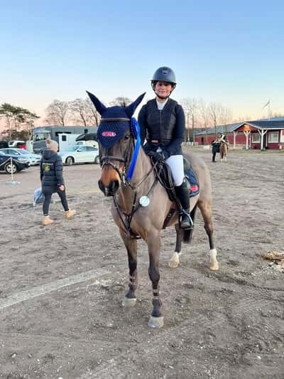 Post 433 of Show jumping with title Olle