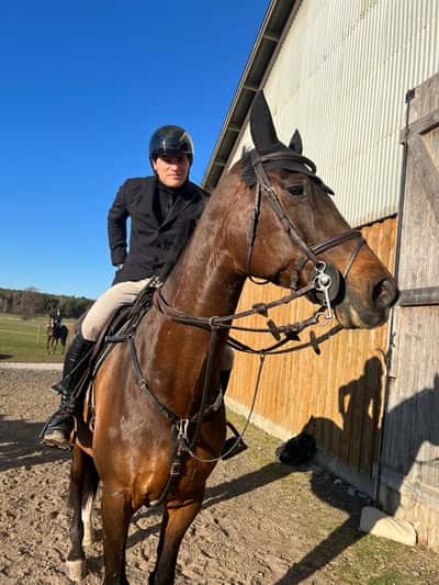 Inlägg 6 av Holsteiner med titeln Stjärnan captain🦄