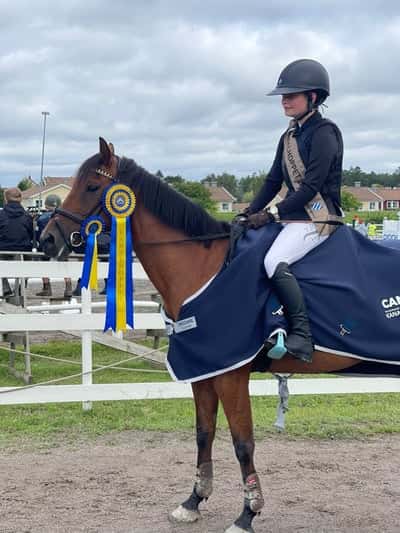 Post 162 of Show jumping with title Gabina vinst i LC+ på Kanalhoppet🌟
