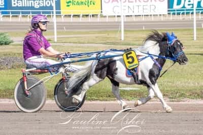 Inlägg 24 av Ponnytrav med titeln DPK’s Ponnytravgala 