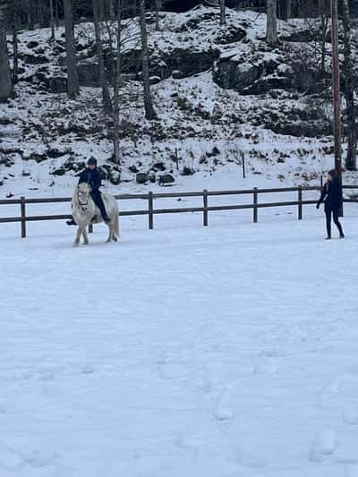 Inlägg 27 av Island med titeln Träning för Caroline Nero för två veckor sedan💕🦄!