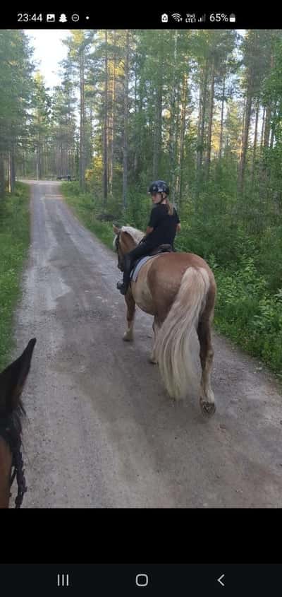 Inlägg 13 av Nordsvensk med titeln Fin ute ritt❤️