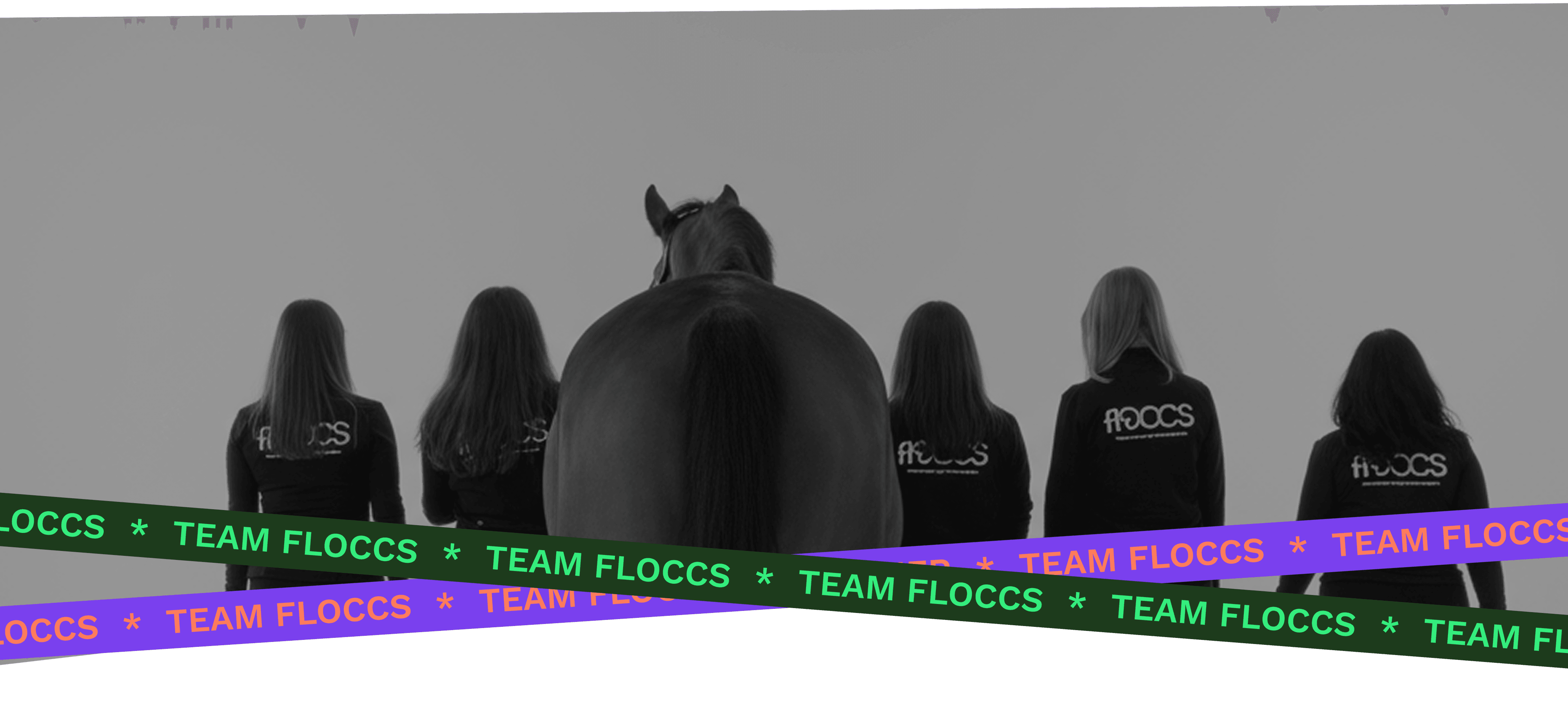 Horse with team