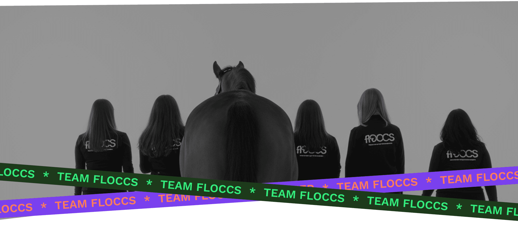Horse with team