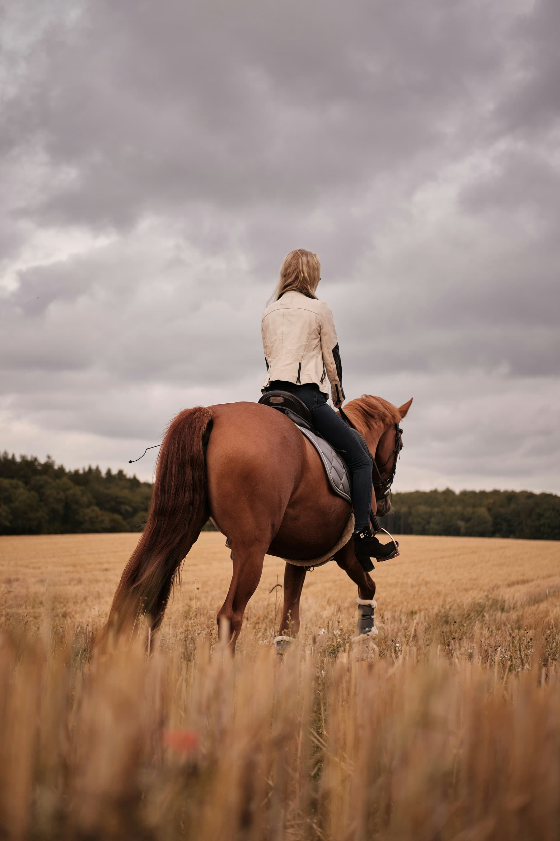 Horse riding off the trail