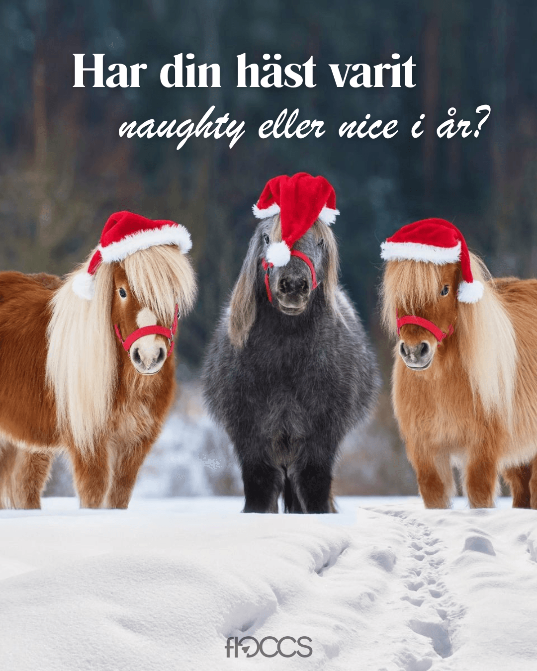 Motif 1 - Three Christmas ponies