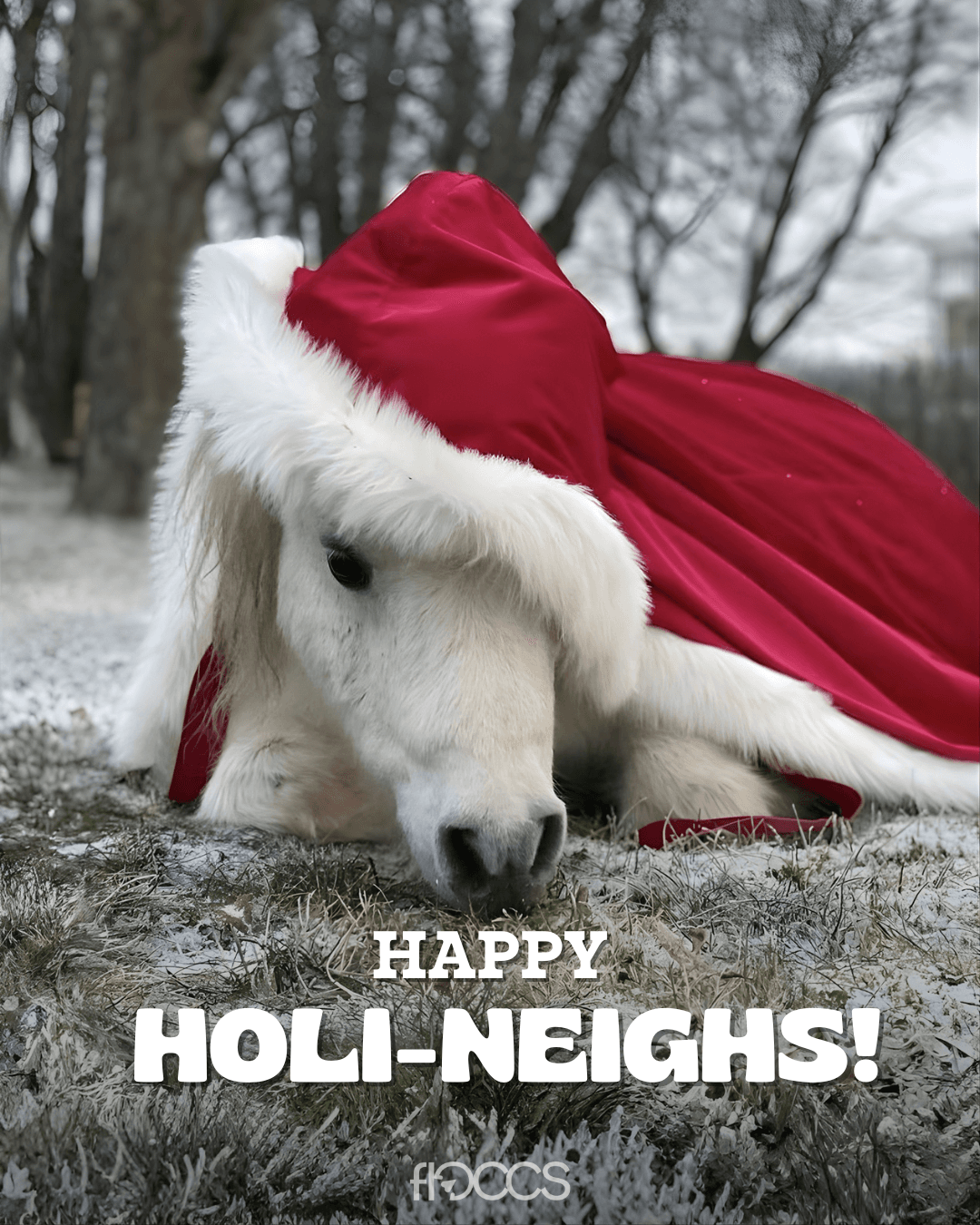 Motif 2 - White Christmas pony