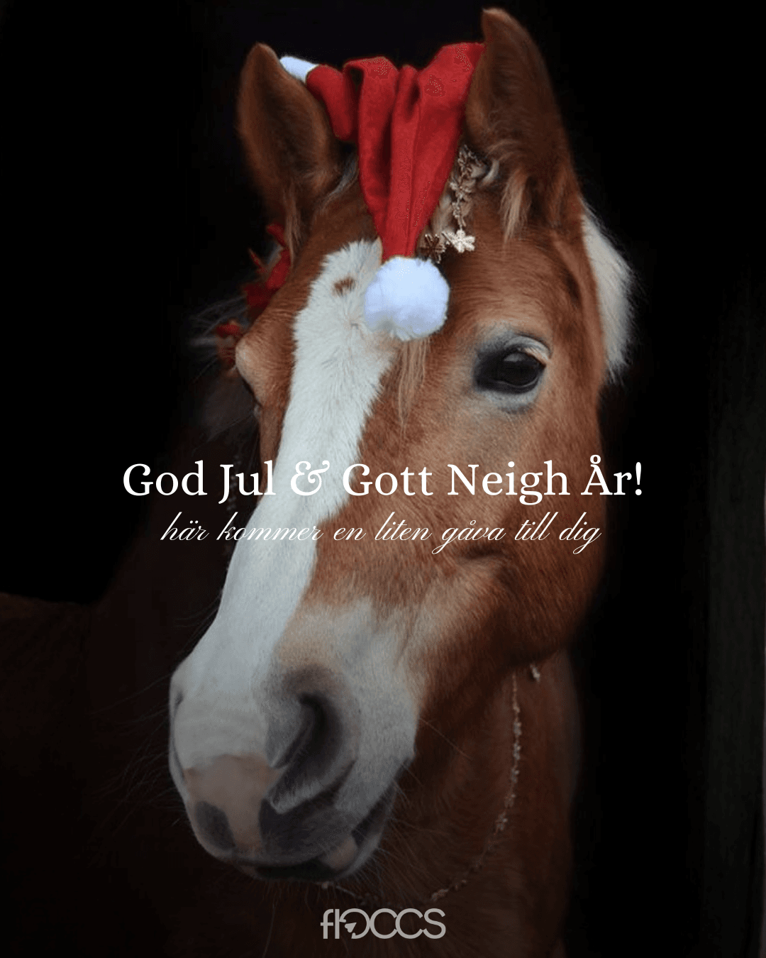 Motif 3 - Christmas pony with blaze