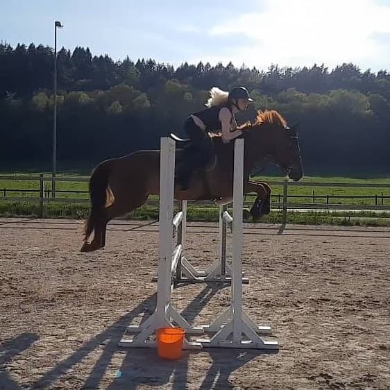 Image 1 of Carismo Clover