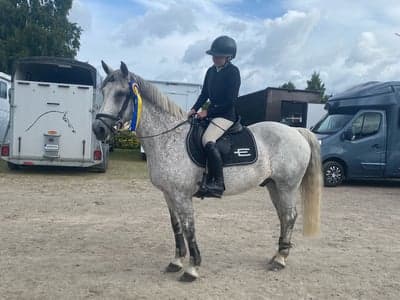 Inlägg 404 av Hoppning