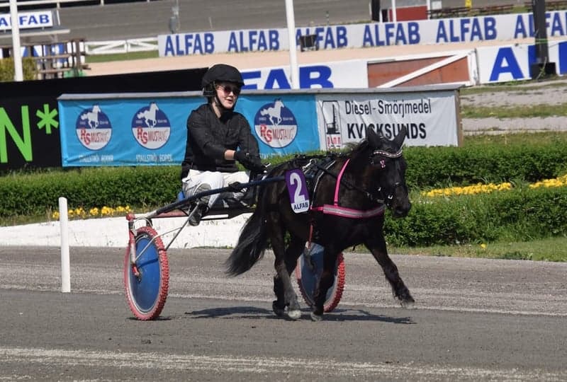 Bild 4 av Malva