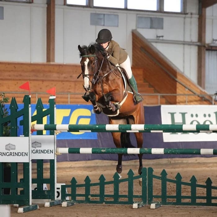 Media 1 of Just A Dream Mi Amor