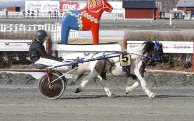 Inlägg 98 av Trav med titeln Ponnytrav 