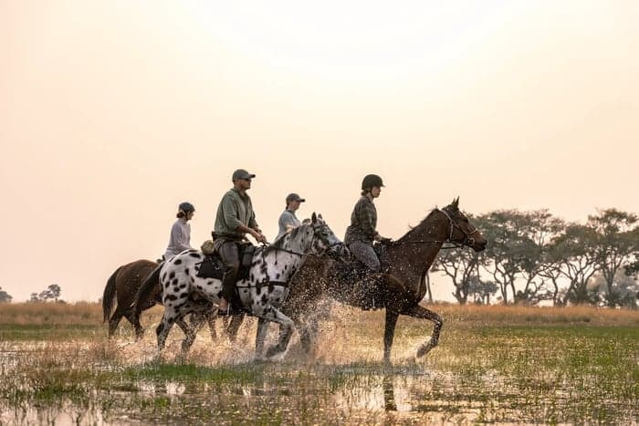 Media 2 av Ridsafari i Okavangodeltat – 10 nätter med vildmark & vatten i Botswana