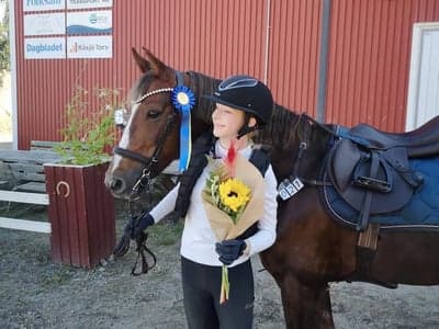 Inlägg 9 av Morganhäst med titeln Och hon hoppade hem en till idag🏵🤍