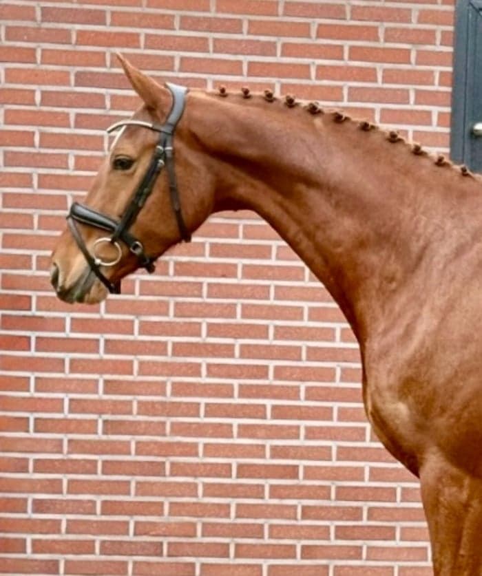 Media 2 av Dancing Queen