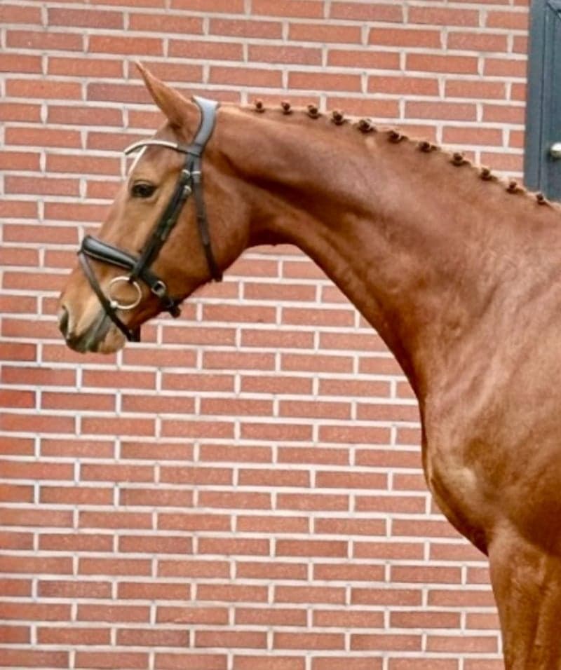 Bild 2 av Dancing Queen