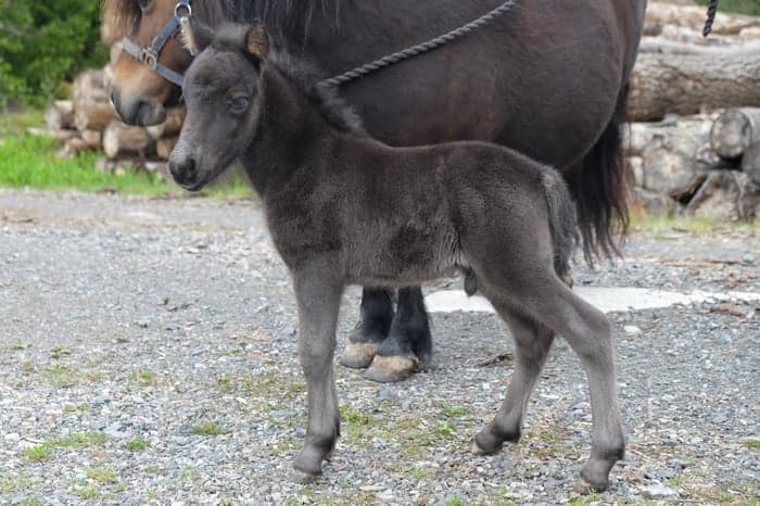 Media 2 av Furunäs Design