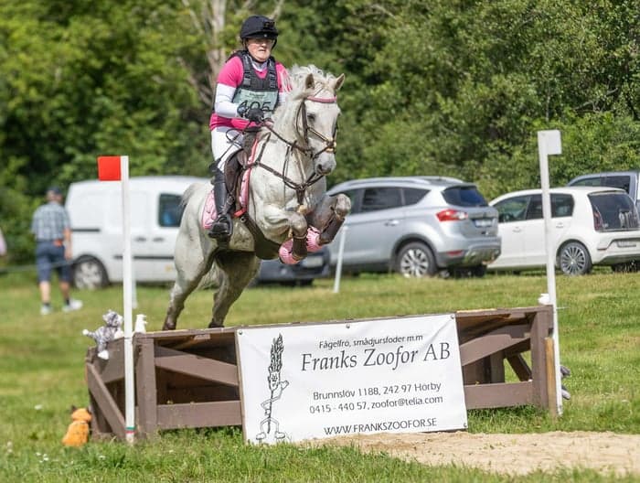 Media 1 of Pollabrandy Prince