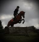 Profilbild av Lucardy H