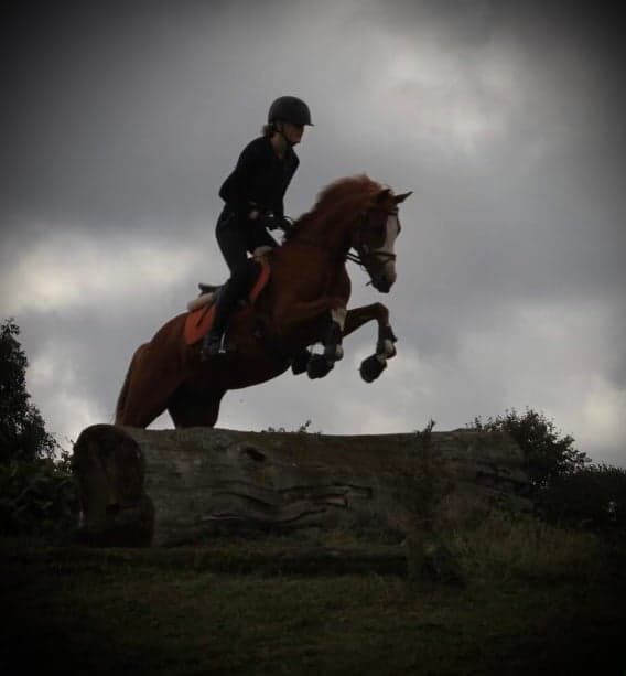 Media 1 av Lucardy H